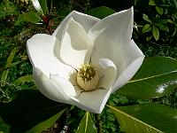 2009-08-20_10-54-32_0102
