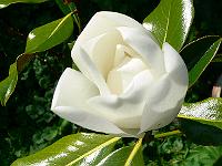 2009-08-20_15-33-24_0127