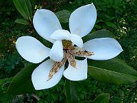 2009-08-22_07-40-05_0081