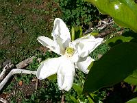 2008-07-02_07-31-06_0036