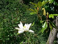 2008-07-02_07-31-06_0054