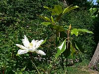2008-07-02_07-31-06_0060
