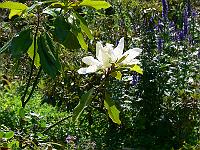 2008-07-02_07-31-06_0083