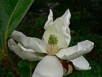 2008-08-26_15-30-18_0020