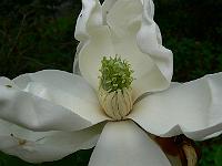 2008-08-26_15-30-18_0028