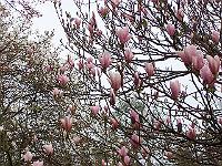 02-05kodak_122