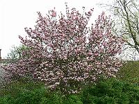2009-04-29_08-15-46_0132