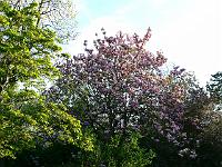 2010-05-20_18-40-43_0171