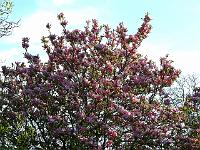 2010-05-20_18-40-54_0174