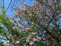 2010-05-21_10-11-20_0246