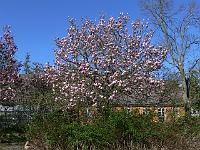 2011-04-23_15-24-07_0098