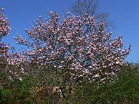 2011-04-24_13-41-06_0017
