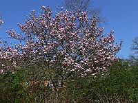 2011-04-24_13-41-13_0020