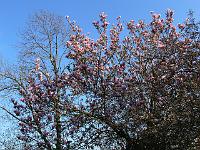 2011-04-25_17-12-23_0201