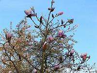 01-05-2006_07-43-12_111