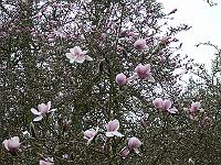 02-05-2006_08-20-57_25