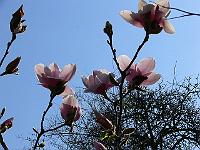 02-05-2006_16-00-52_27