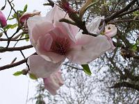 02-05kodak_175