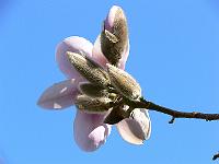 03-04-2007_11-46-49_51