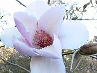 03-04-2007_18-41-46_53