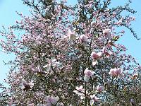 03-05-2006_14-26-45_32