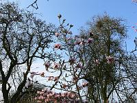 04-05-2006_08-01-01_140