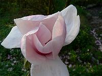 07-05-2006_09-25-15_52