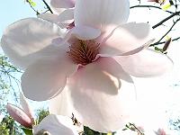 08-05-2006_09-35-29_148