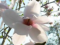 08-05-2006_09-35-33_149