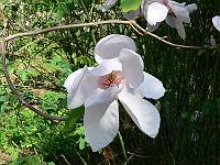 09-05-2006_15-13-58_49