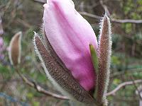 18-04-05kodak_157