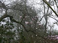 2009-04-13_07-38-11_0016