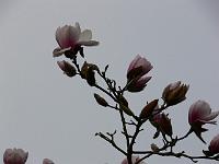 2009-04-14_07-25-50_0045