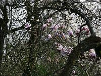 2009-04-14_15-45-21_0049
