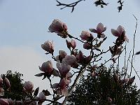 2009-04-16_08-16-17_0057