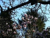 2009-04-18_07-20-52_0112