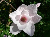 2009-04-25_14-17-33_0009