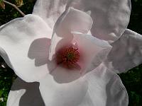 2009-04-25_14-18-03_0015