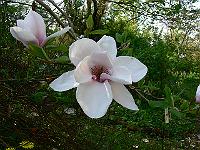 2011-04-29_07-53-51_0201