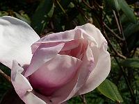 22-04-05kodak_046