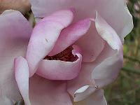 22-04-05kodak_047
