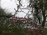 29-04-2006_07-33-28_48