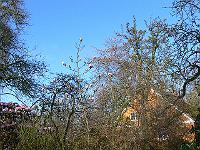 29-04-2006_09-17-03_34