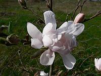 2011-04-19_08-58-02_0175