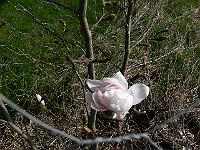 2011-04-19_08-58-34_0178