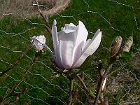 2011-04-19_08-58-47_0181