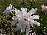 2011-04-19_17-03-56_0043