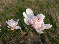 2011-04-19_17-04-37_0057