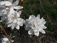 2011-04-20_15-23-26_0242