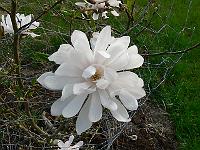 2011-04-21_16-58-20_0213